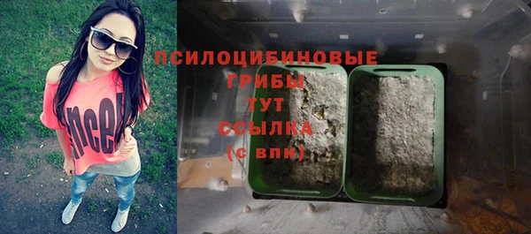 молекула духа Верея