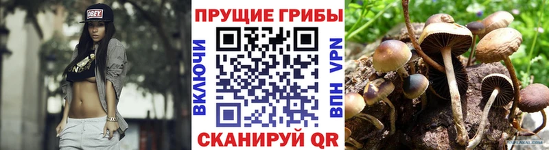 Псилоцибиновые грибы мухоморы Купить закладки Белая Холуница