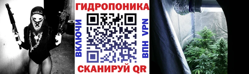 Канабис конопля Белая Холуница